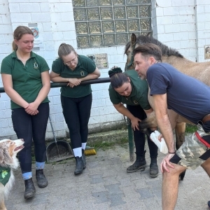 Teamfortbildung in Veterinärmedizin